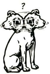 Illustration from the archive